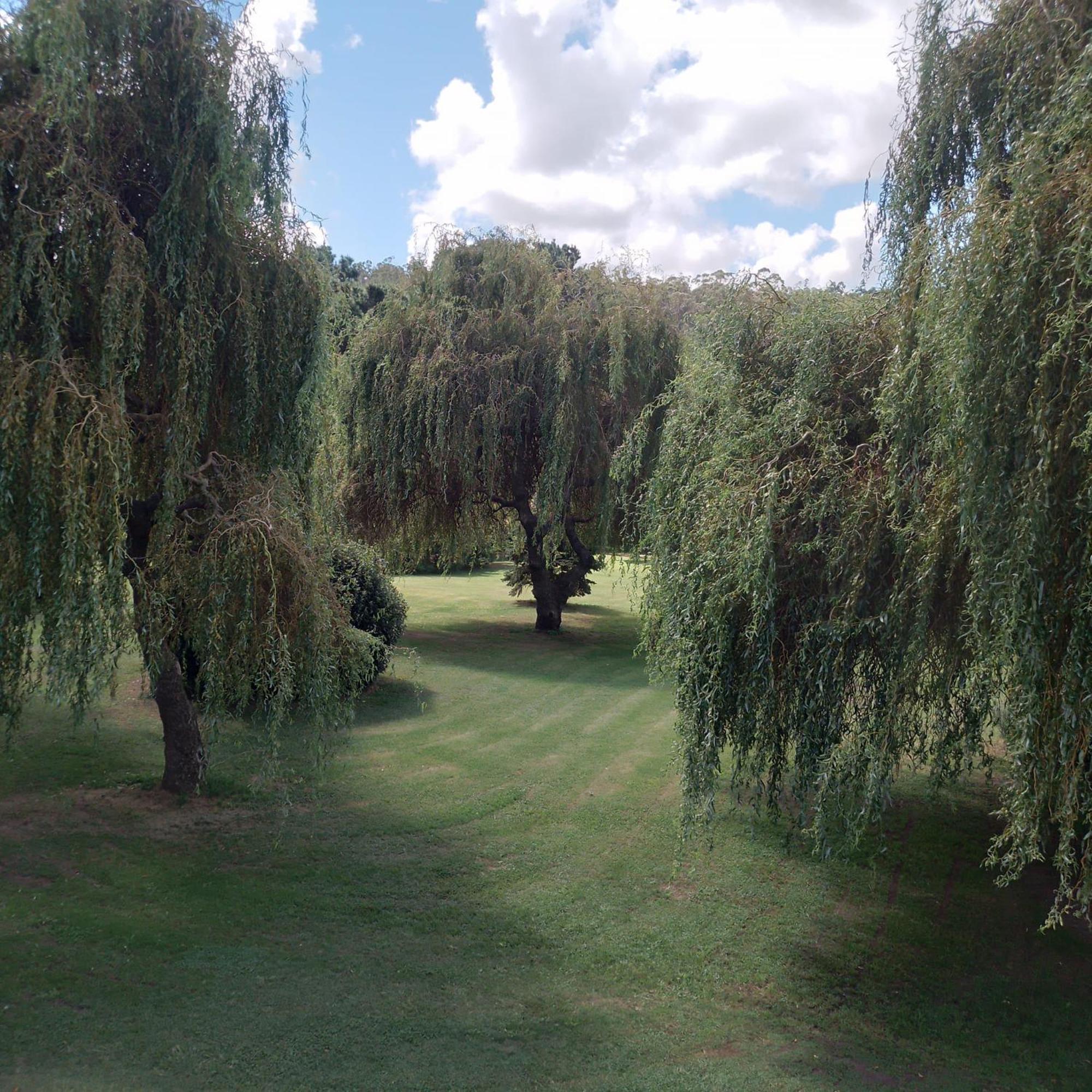 Village Park تانديل المظهر الخارجي الصورة